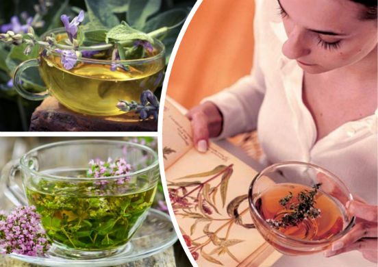 Шалфей - священное растение, на основе которого делаются лечебные чаи и настои, помогающие человеку справится с различными заболеваниями