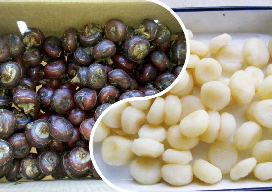 Водяной орех - азиатский плод, который активно применяется в кулинарии и медицине