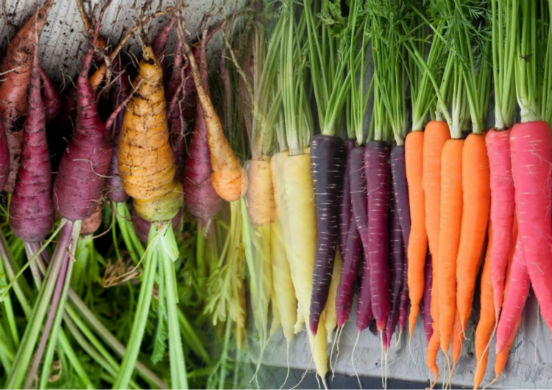 9 причин кушать морковь каждый день или чем полезен популярный корнеплод