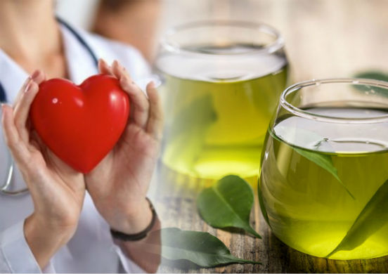 Польза и вред зеленого чая для здоровья человека. Стоит ли употреблять этот напиток?
