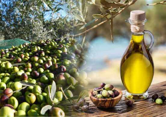 Оливковое масло для лица - как правильно использовать одно из лучших средств от морщин